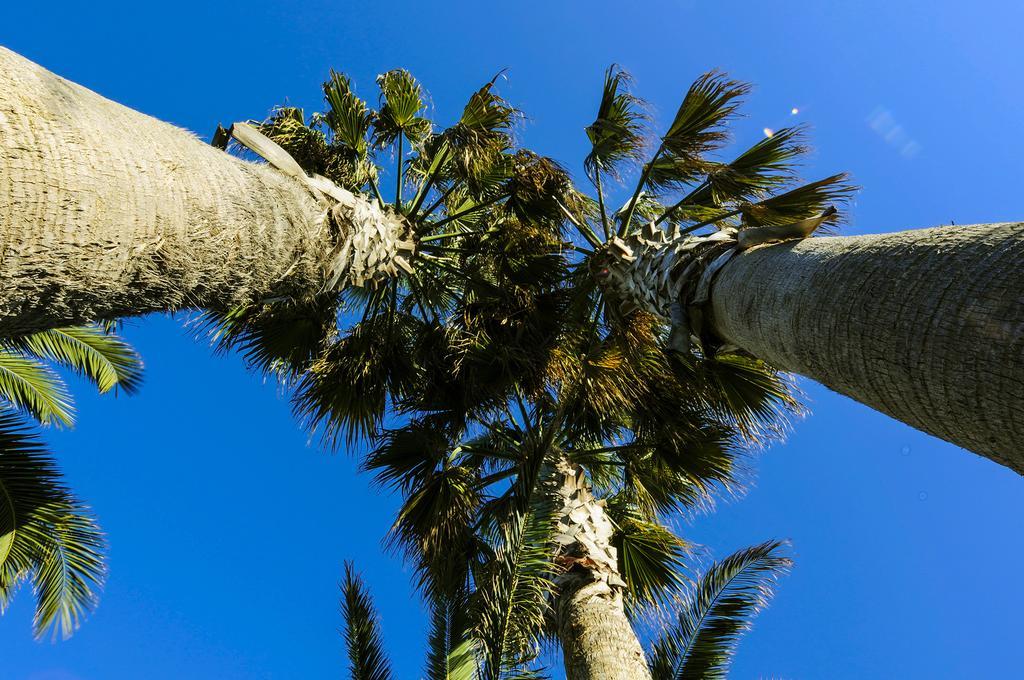 Regent Hotel San Benedetto del Tronto